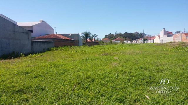 Terreno à venda, 2952 m² por r$ 2.300.000,00 - afonso pena - são josé dos pinhais/pr - Foto 17