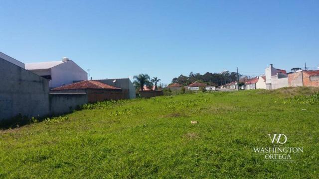 Terreno à venda, 2952 m² por r$ 2.300.000,00 - afonso pena - são josé dos pinhais/pr - Foto 4