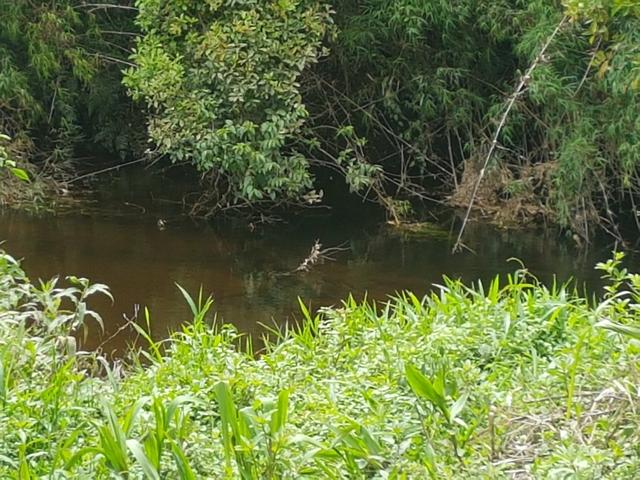 Chacrinha - Foto 12