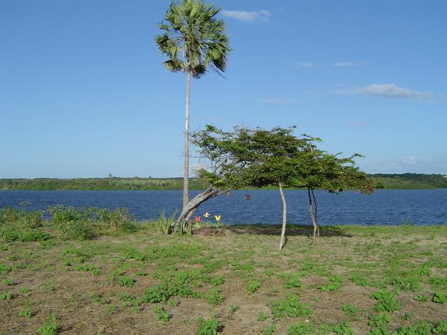 Terreno para investimento imobiliário na Lagoa do Portinho Parnaíba - Foto 4