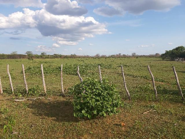 Vendo fazenda ou troco - Foto 17