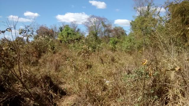 Área, Fazenda Santo Antônio das Lages, Caldas Novas-GO - Foto 3