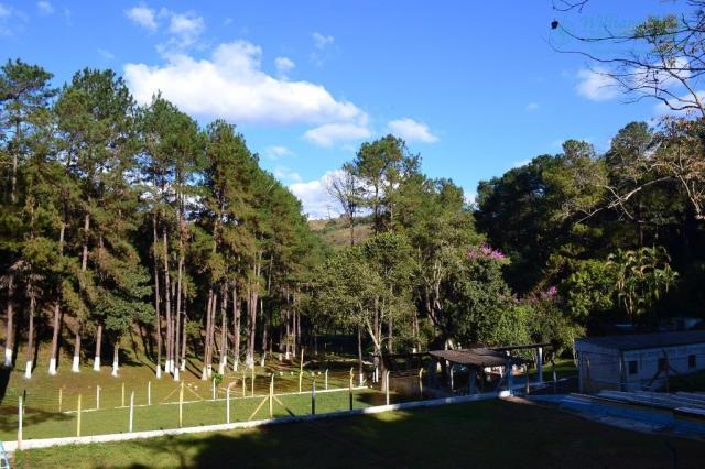 Área à venda, 72.944 m² por r$ 12.000.000 - jardim paraíso - guarulhos/sp - Foto 6