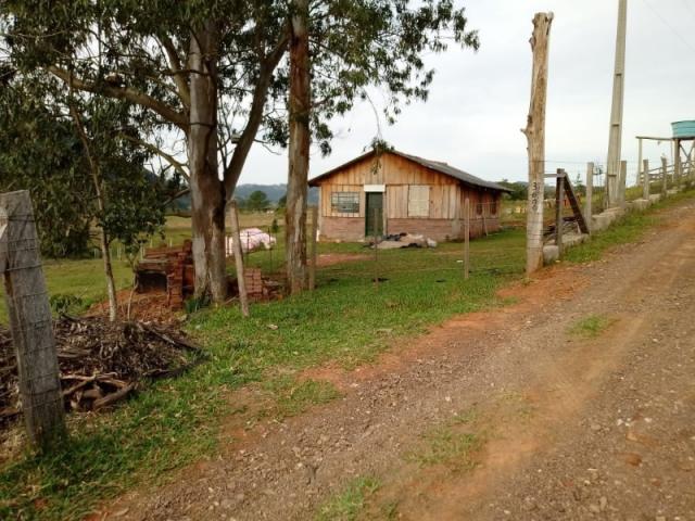 Chácara 5.000 m² - lomba grande - novo hamburgo - rs - Foto 11