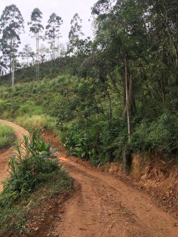 Terreno/Cachoeira - Foto 18