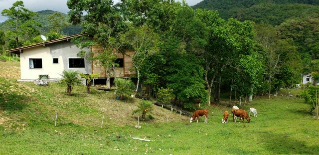 Lindo sitio Águas mornas/SC. Há 1.500 metros do asfalto, Estrada geral do Rio Novo - Foto 2
