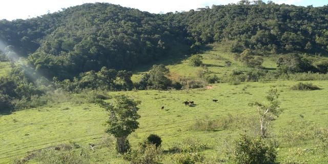 Fazenda - Foto 2
