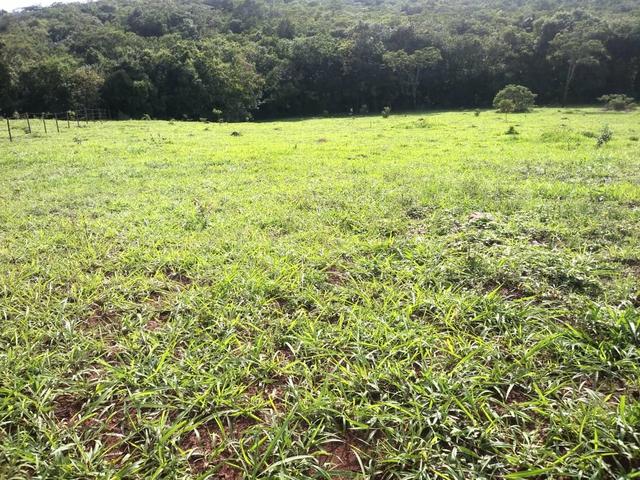 Chácara em Gameleira de Goiás - Foto 13