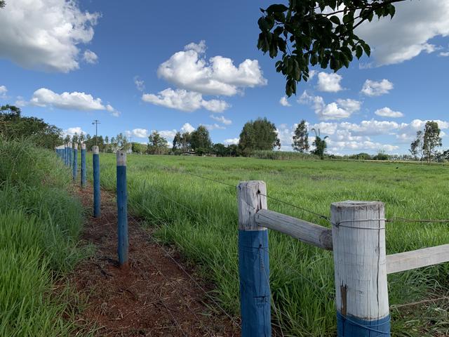 Lindo Sítio a venda - Uberlândia - Foto 5