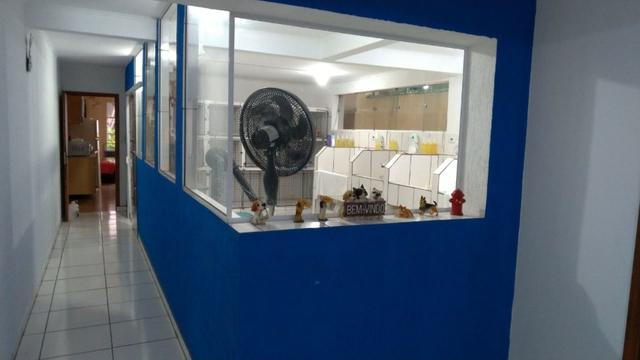 Pet Shop-Vila Guilherme
