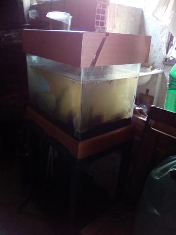 Vendo aquario