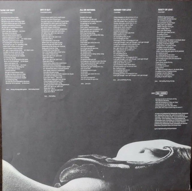 Lp do Whitesnake - Slide It In (Leia o anúncio!)   - Foto 4