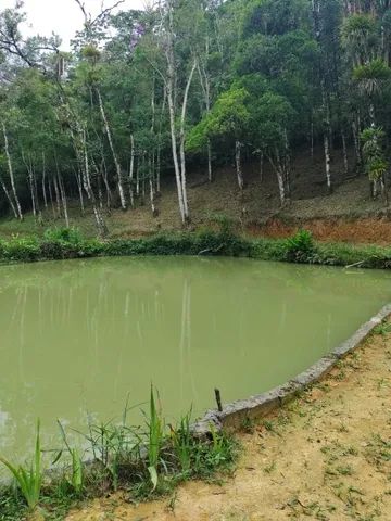 Sítio para Venda em Centro Tapiraí-SP - Foto 2