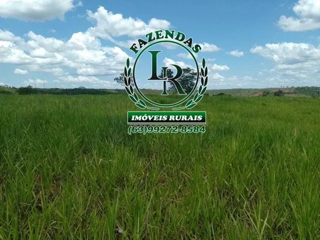 Fazenda 138 Alqueires Próximo a Palmas