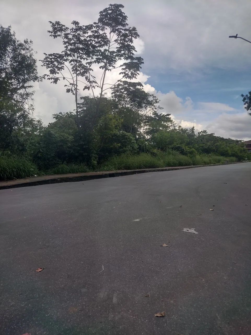 Foto - Manaus - Alvorada