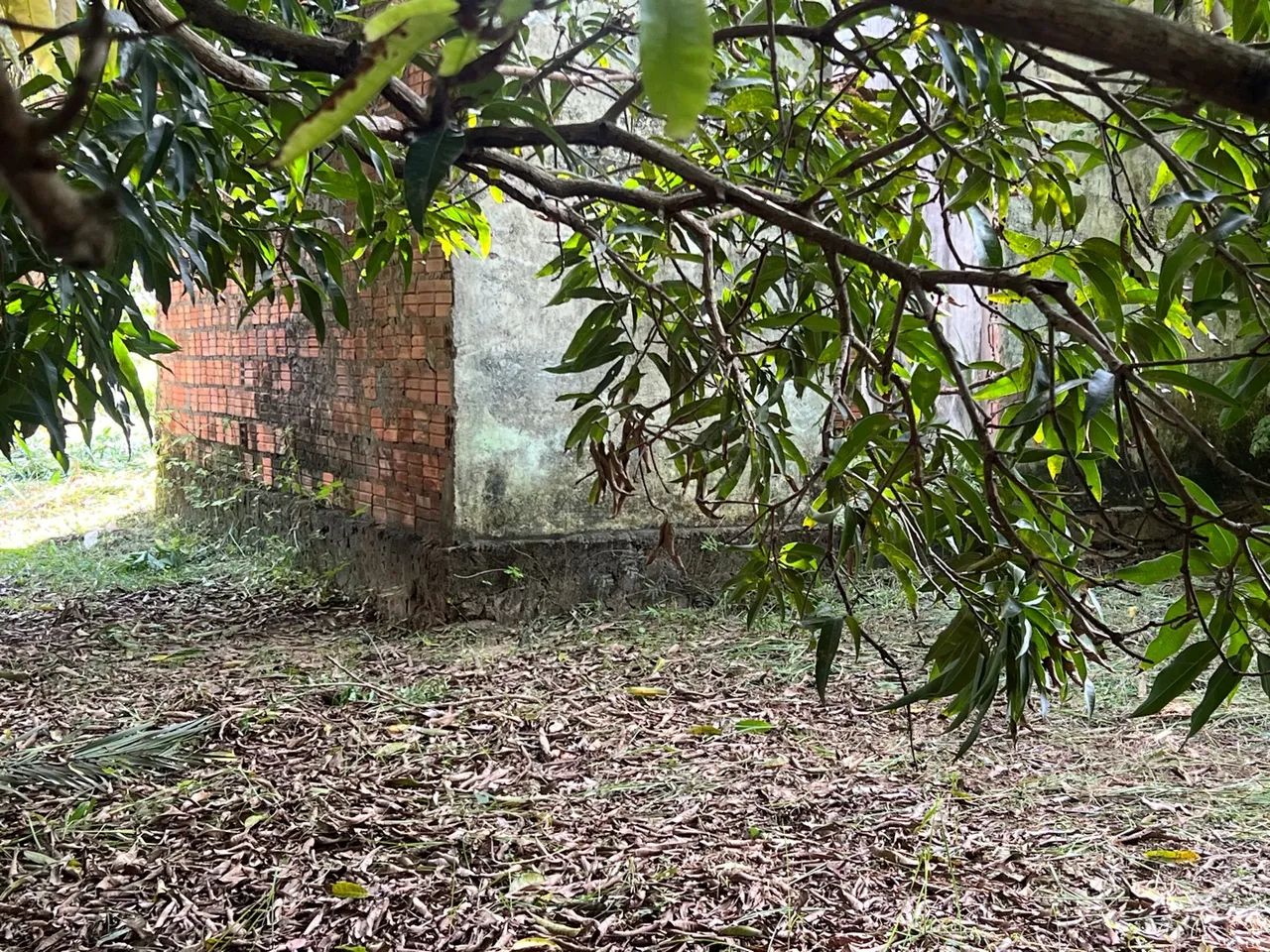 LINDO SÍTIO NO TIMBUBA - Foto 5