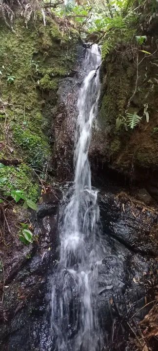 Sítio Com Rio Aiuruoca e Cachoeira !  - Foto 4