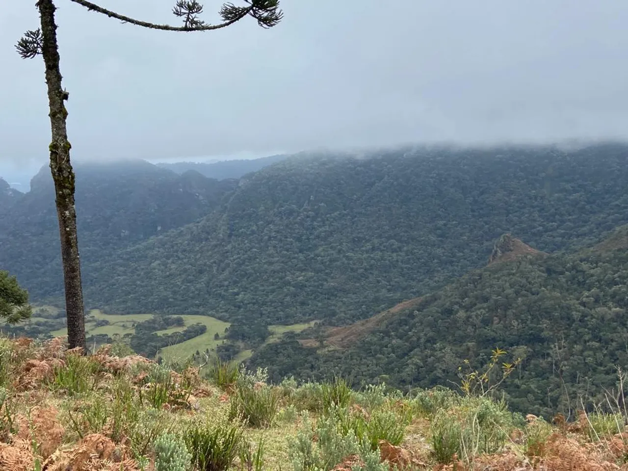 OPORTUNIDADE!! Fazenda/Sítio/Chácara com vista espetacular em Urubici/SC.