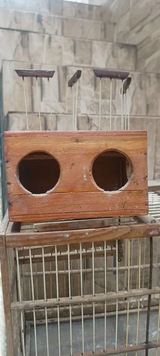 Gaiola voador  - Foto 6