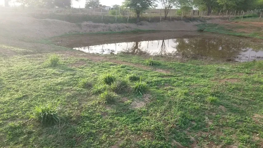 sitio de 8 tarefas +1 casa