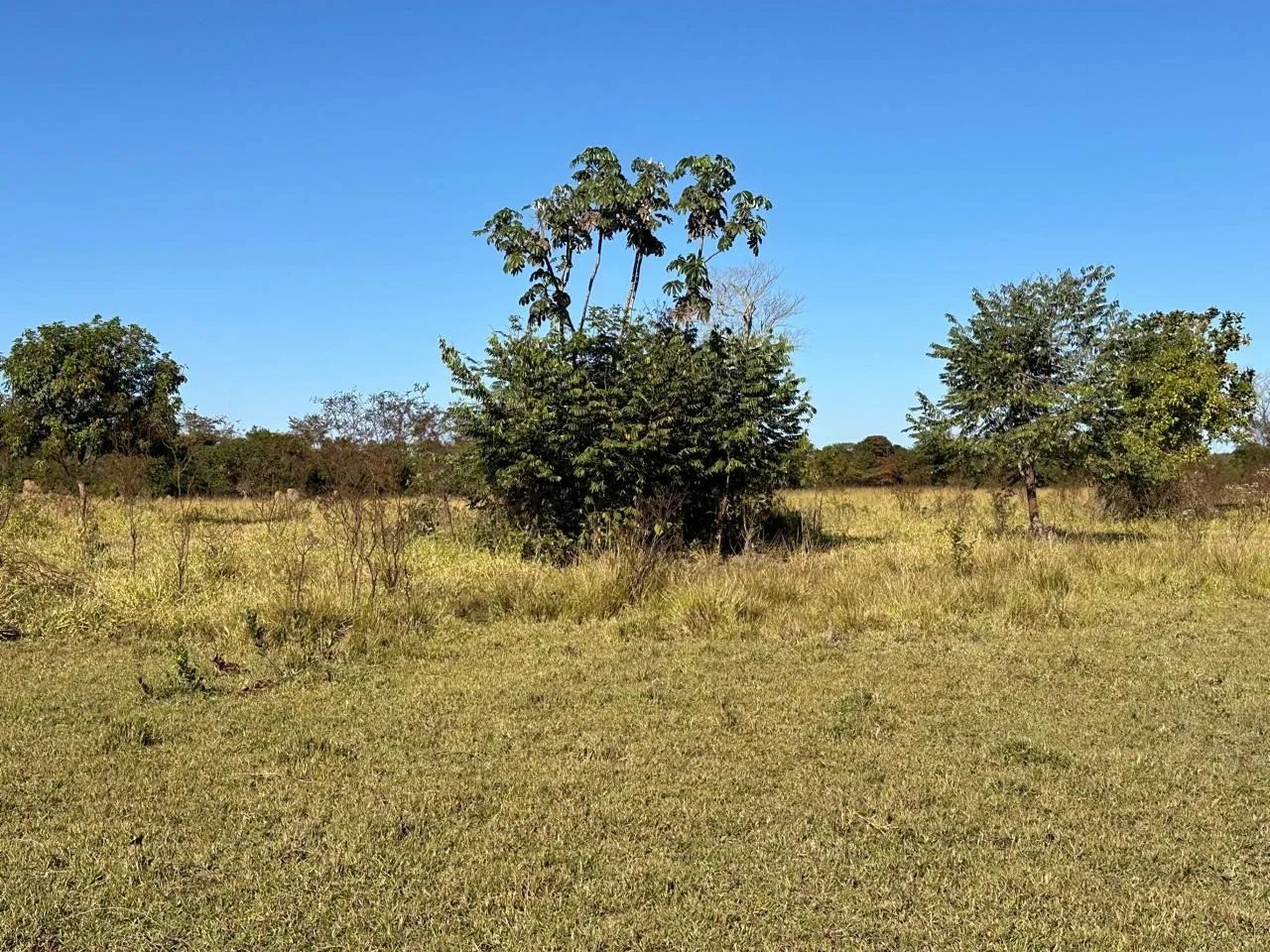 Fazenda a venda  em  - Itarumã - Goiás - Foto 3