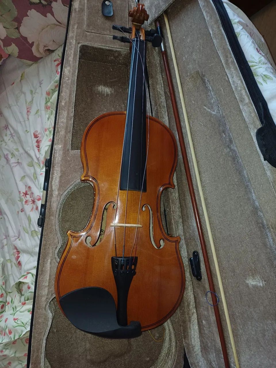 Violino 