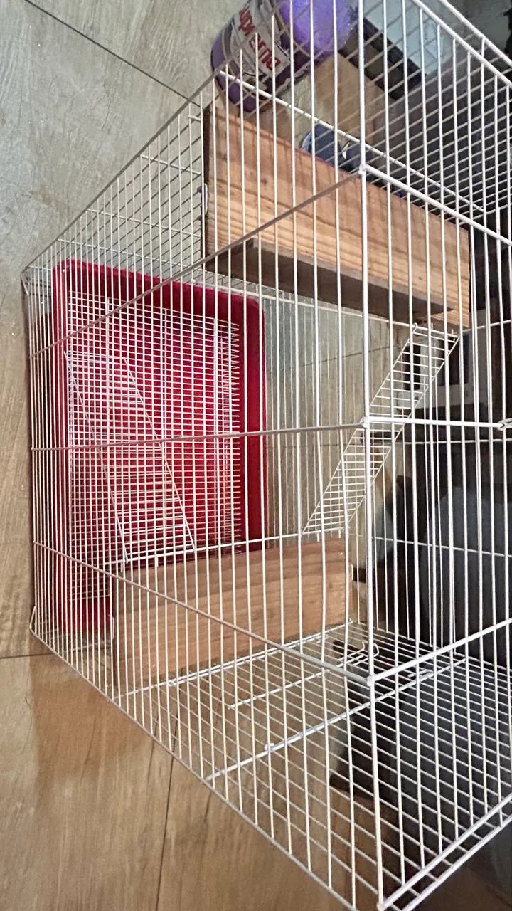 Gaiola grande (55x49x68) bom para coelhos  - Foto 2