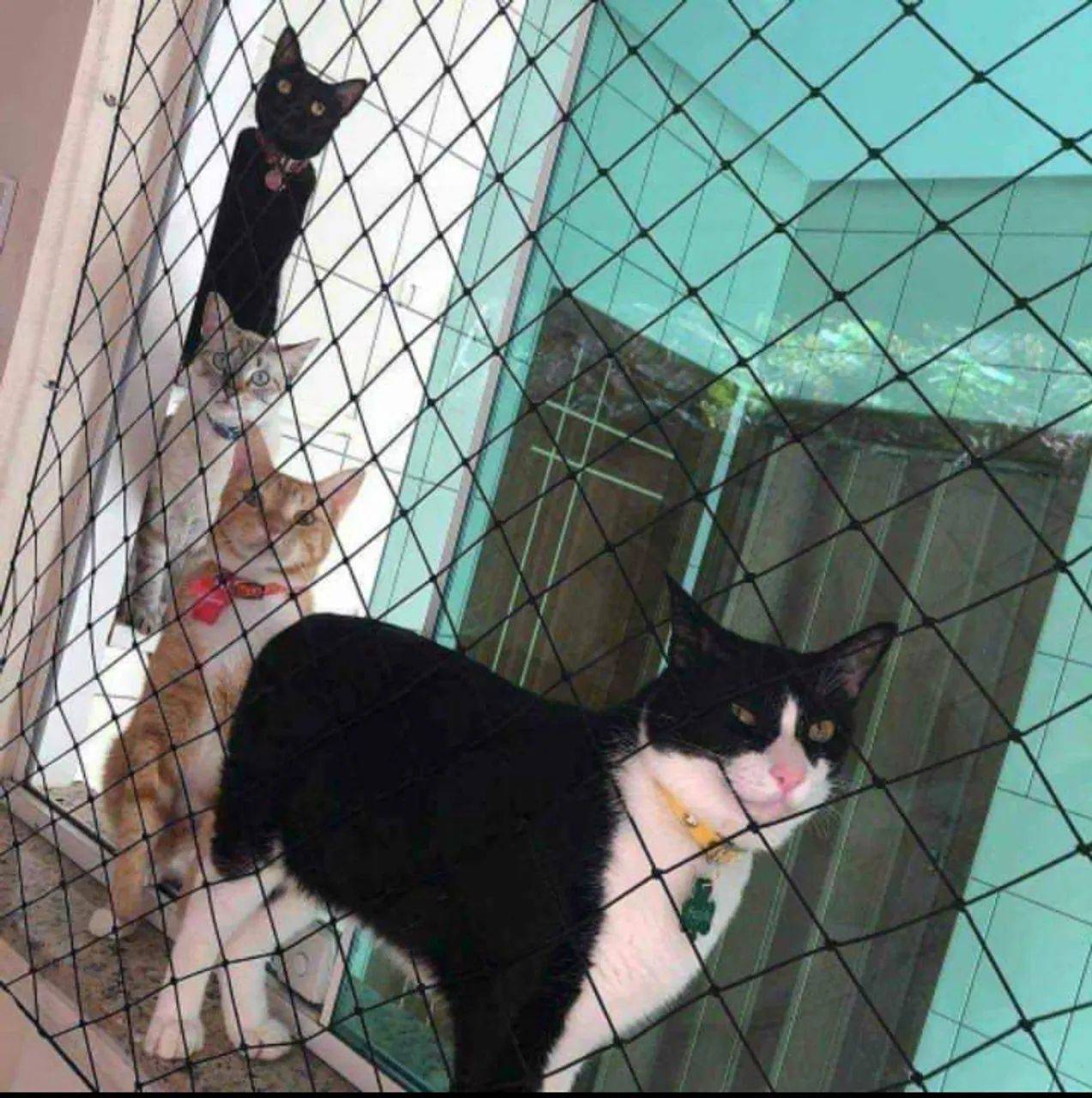 TELAS DE PROTEÇÃO 