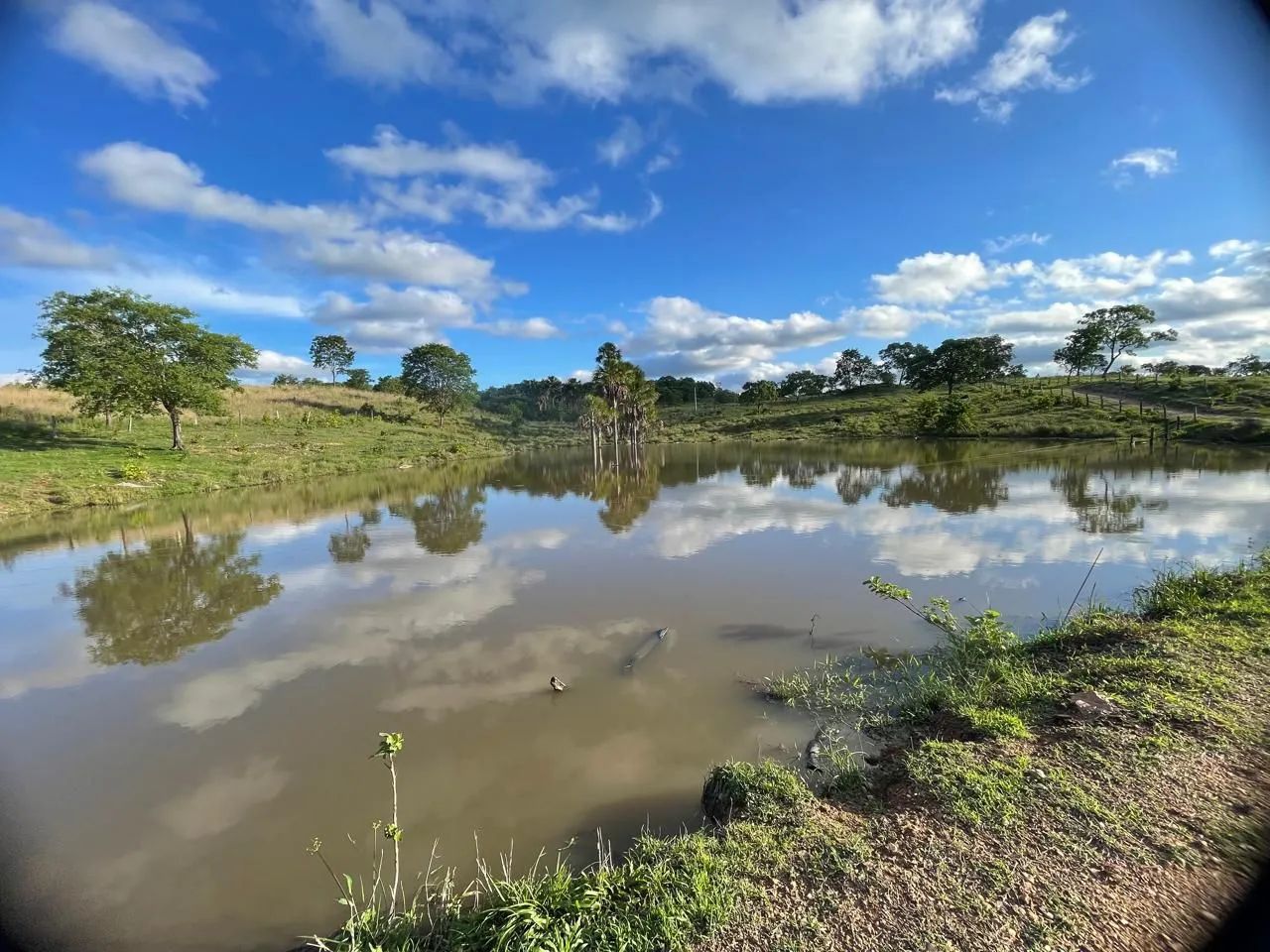 Fazenda em morro agudo - Foto 5