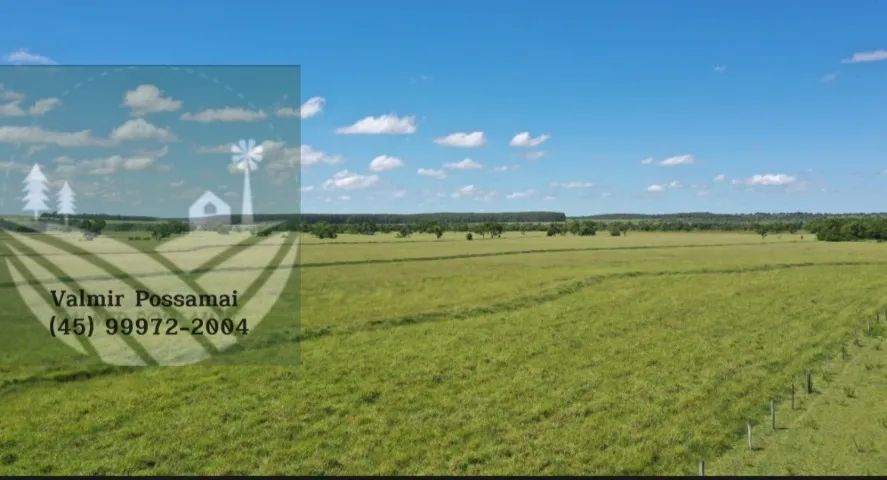 Fazenda em Amambai-Ms