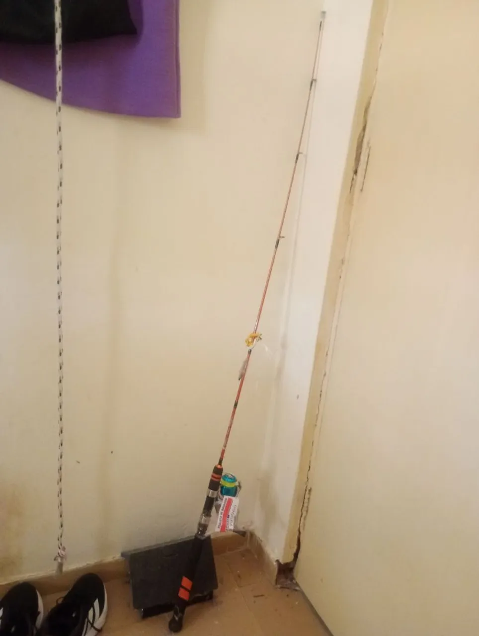 Varinha de Pescar