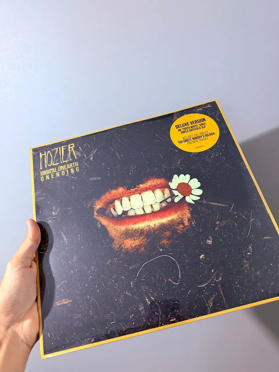 Disco vinil edição deluxe  Hozier  - Foto 4
