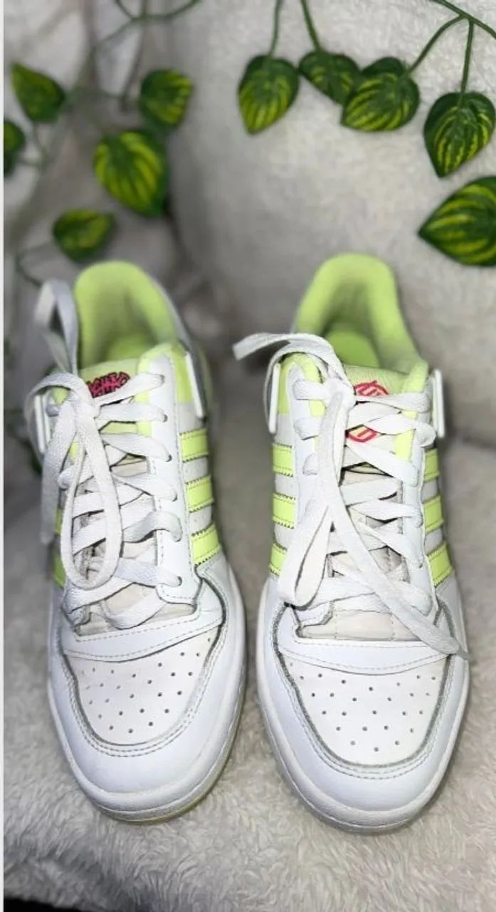 adidas x basquiat  forum low raro | edição limitada