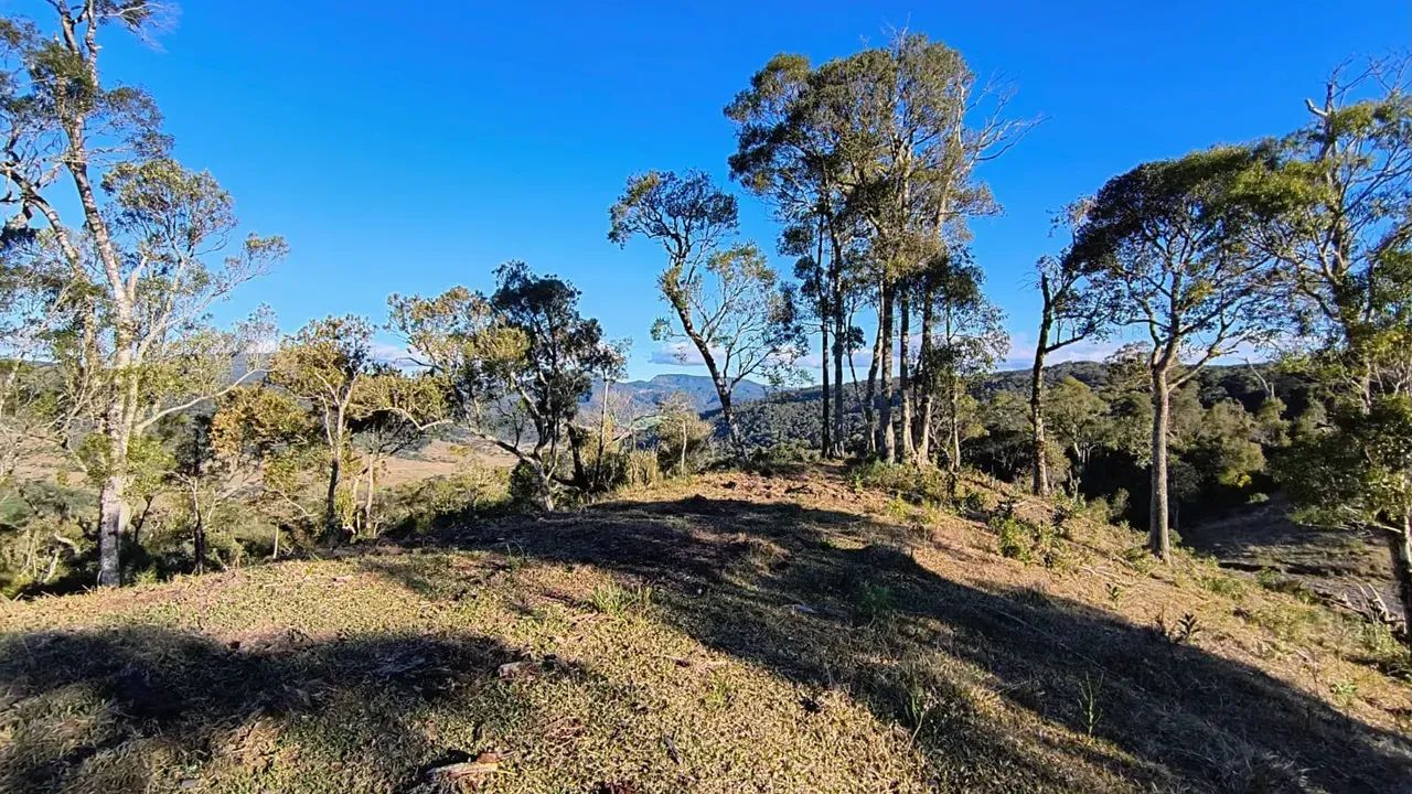 6 Hectares à Venda em Bom Retiro-SC - Foto 2