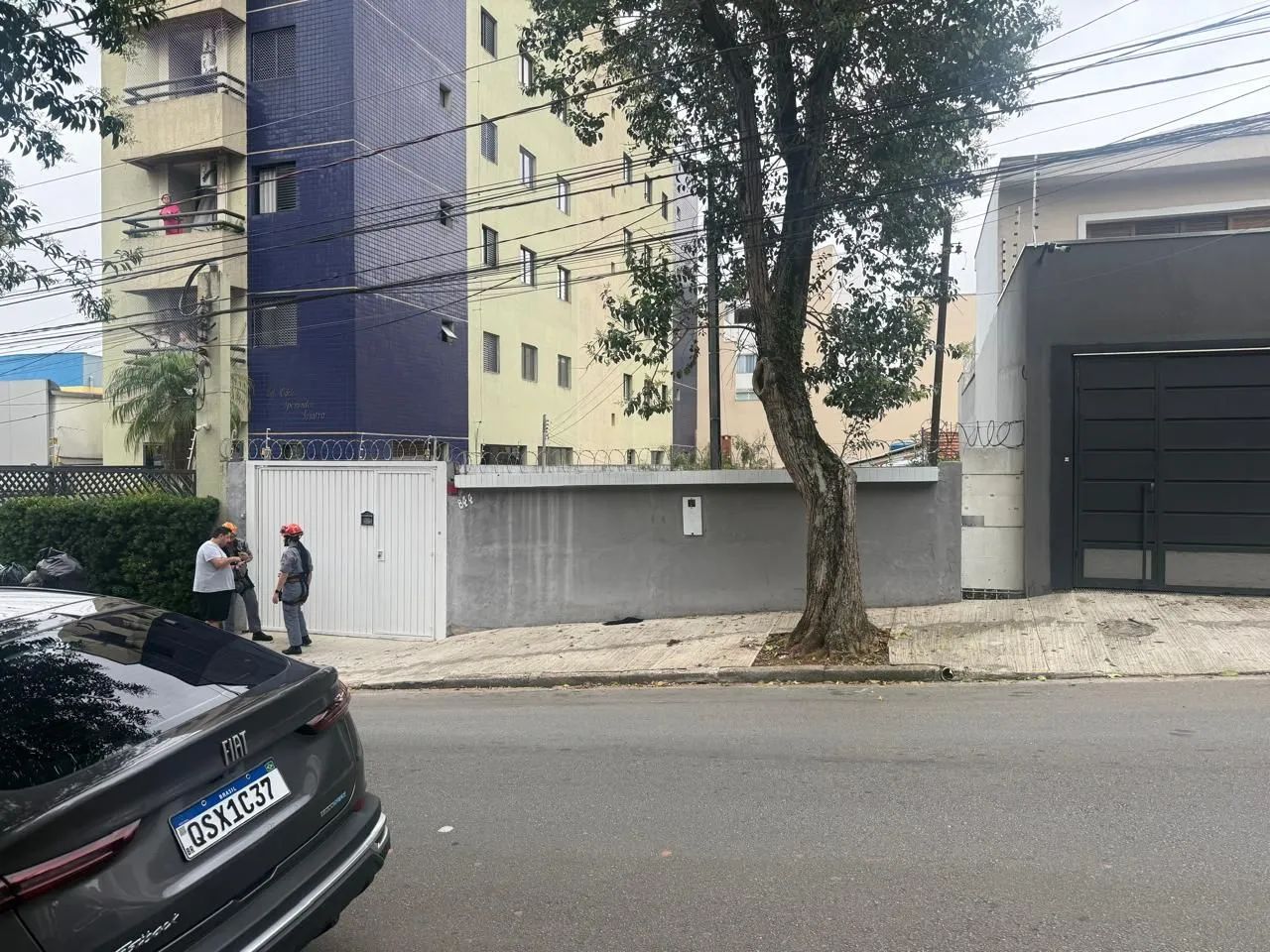 Foto - Santo André - Campestre