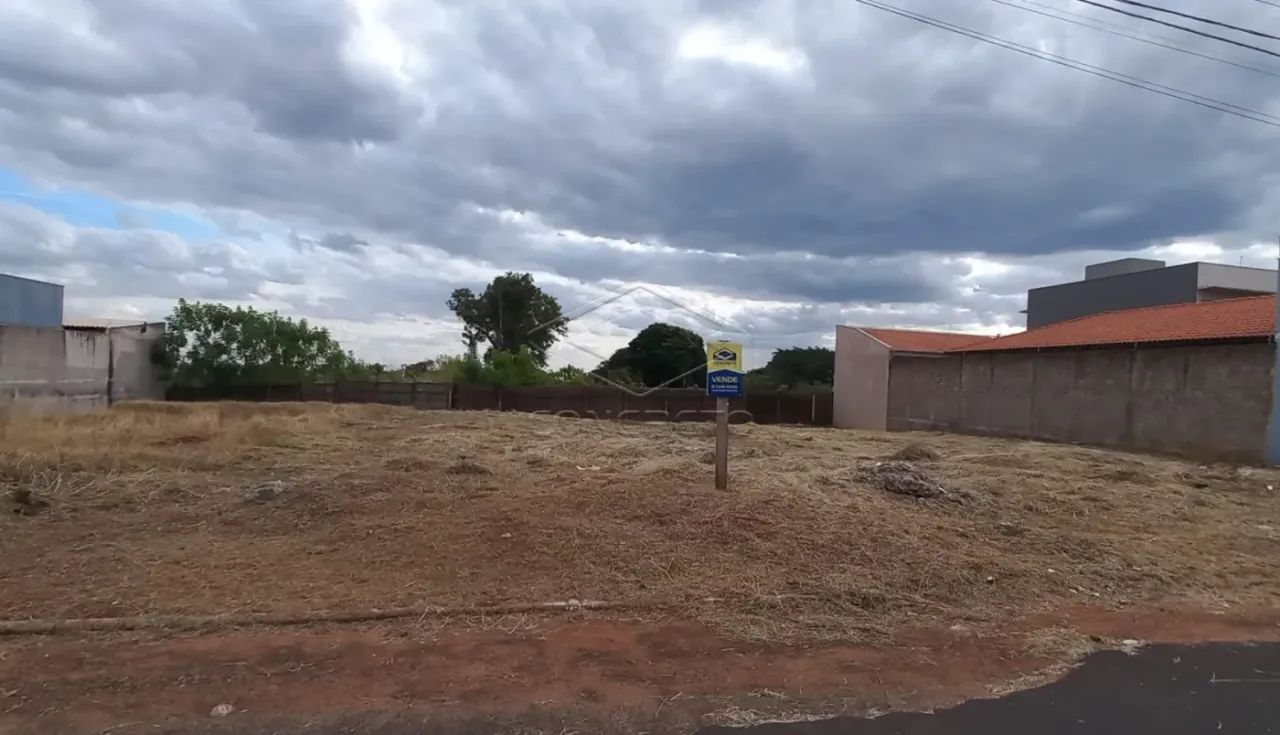 Terreno Padrão em Jaú