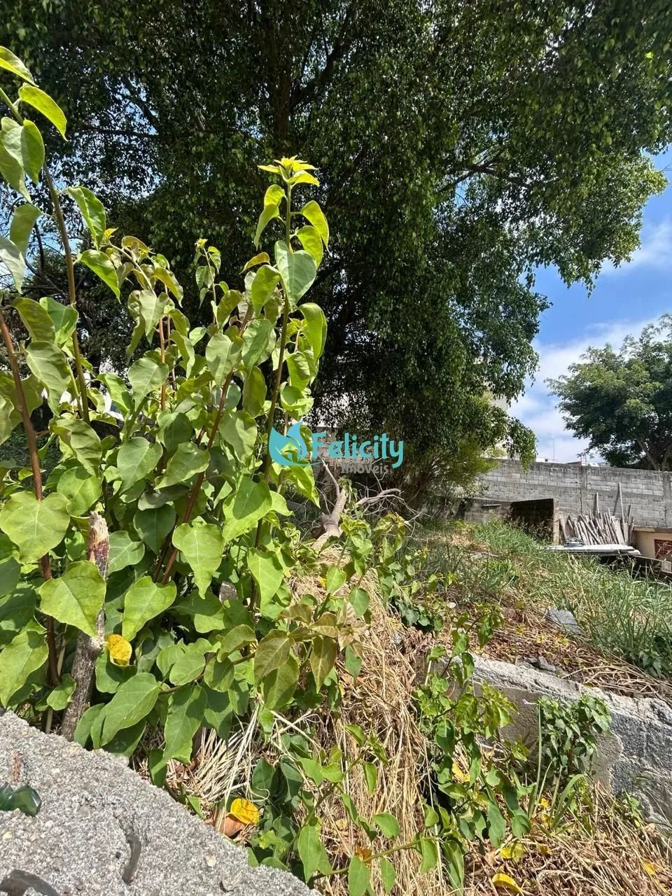 Terreno com 540m2 no Jardim Santo Elias - Foto 3