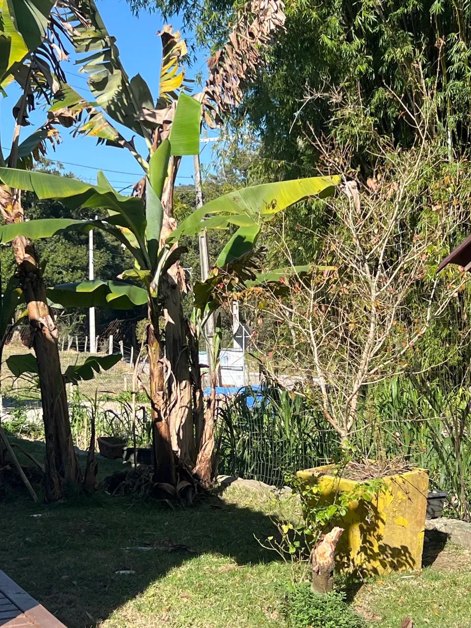 Serviço de chacreiro 