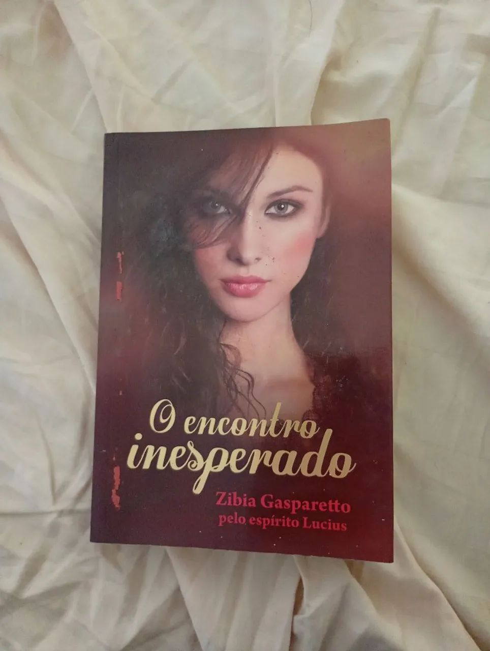O encontro inesperado 