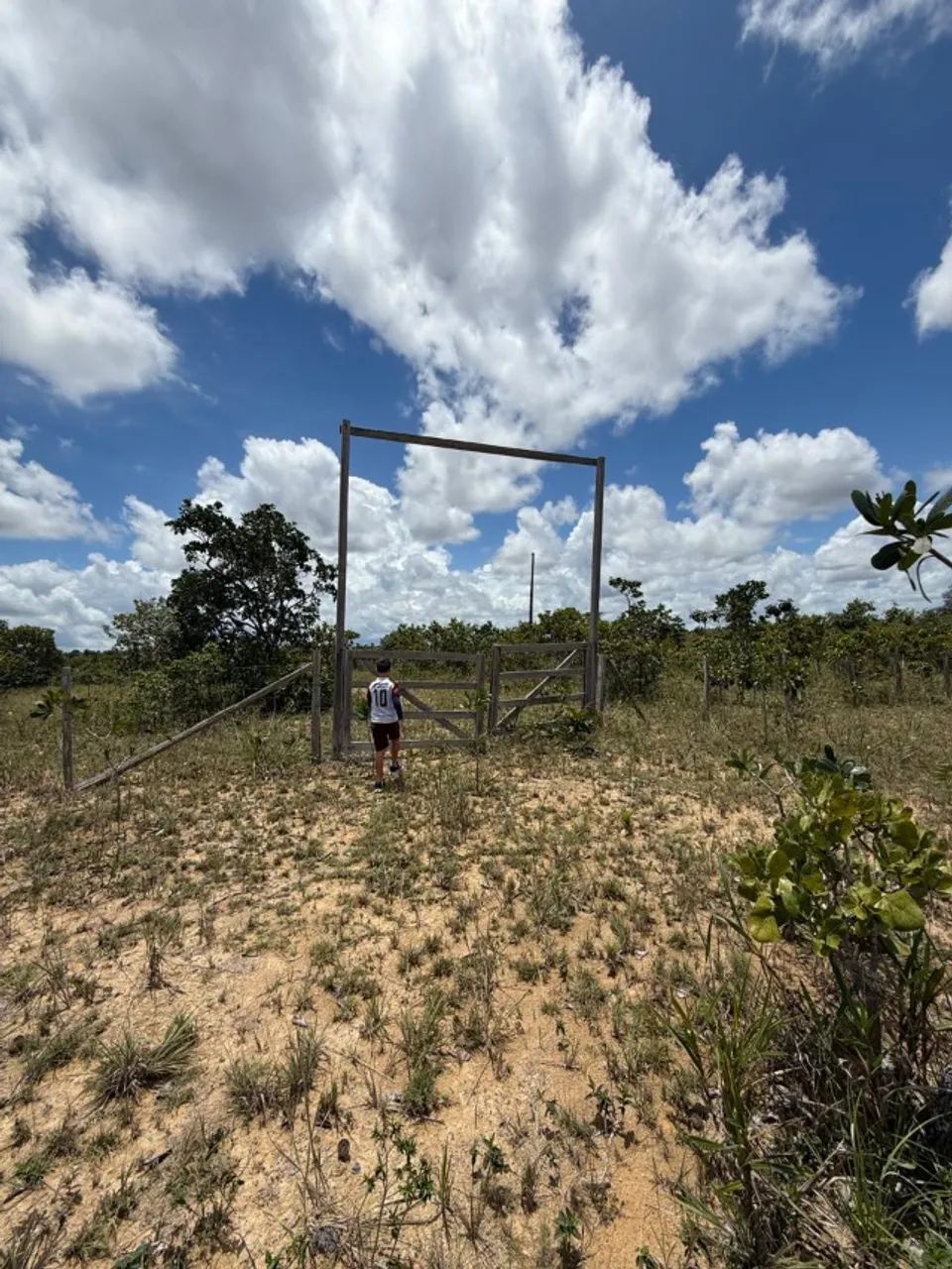 Vendo Sítio á 35 km de Santana na localidade Maçaranduba II - Foto 3