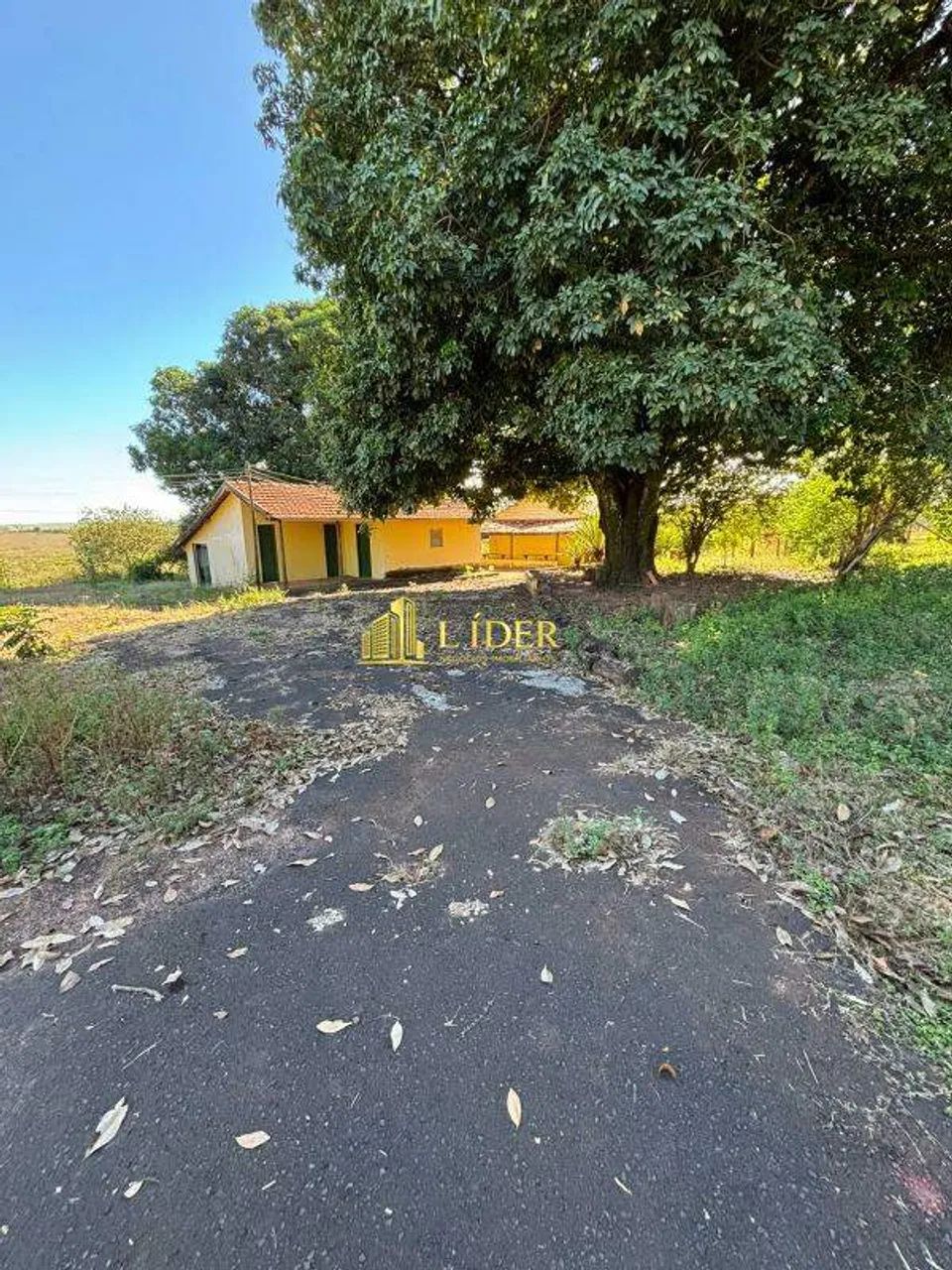 FAZENDA NA REGIÃO DE XAPETUBA - Foto 5