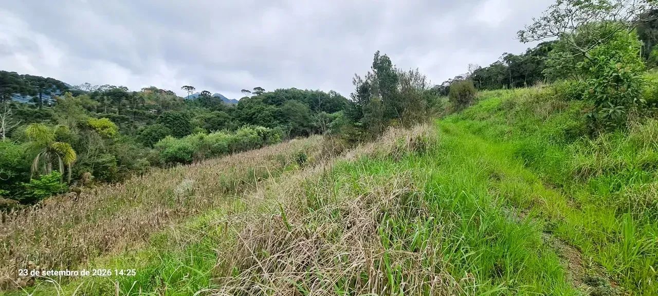 Sítio em Alfredo Wagner- Serra Catarinense-41.000 m² - Foto 3