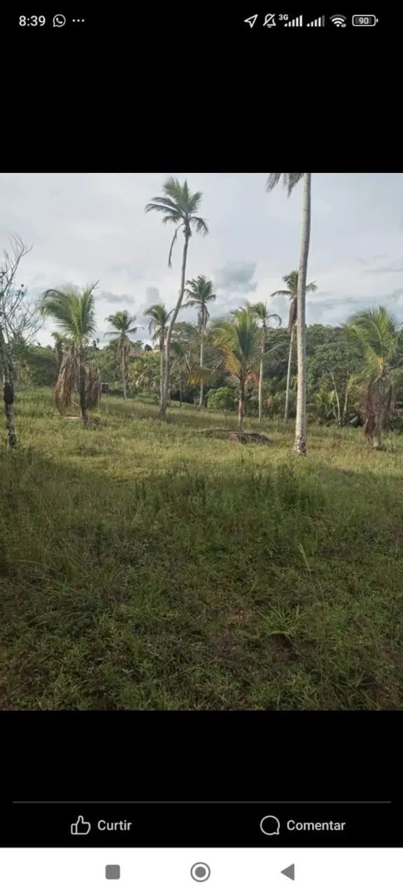 Vende-se sítio  - Foto 5