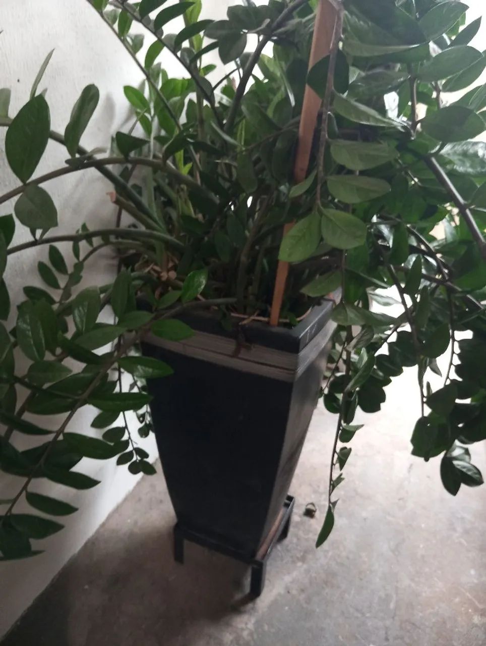 Vaso de plantas  - Foto 3