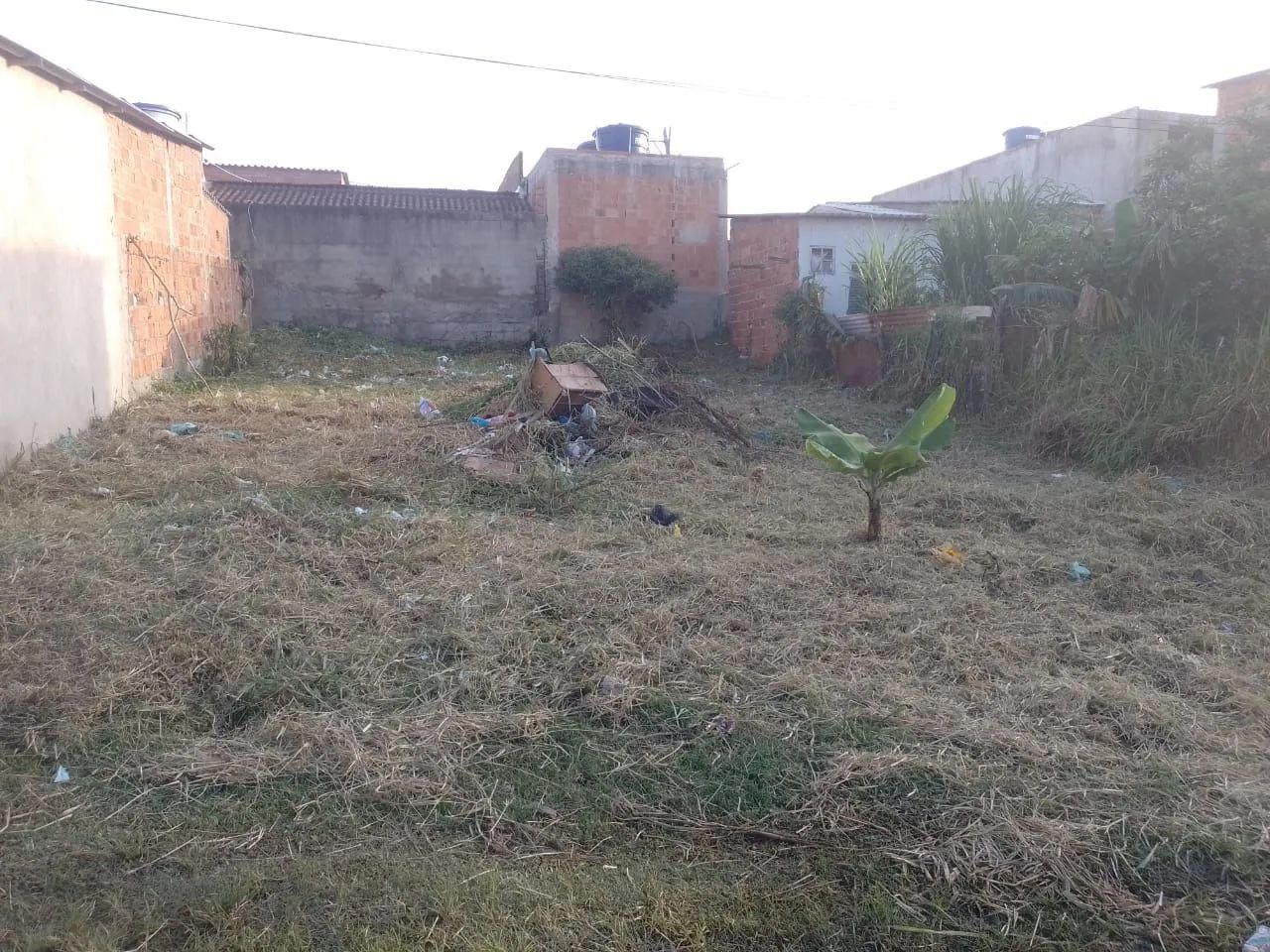 Foto - São Pedro da Aldeia - Recanto das Orquídeas