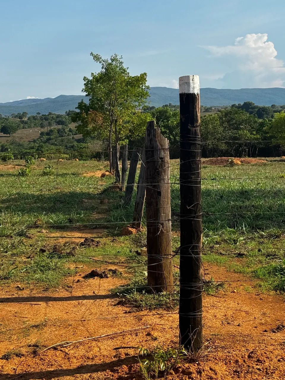 Barro alto Terra top boa água é formada e pastos divididos 100% formada  - Foto 3