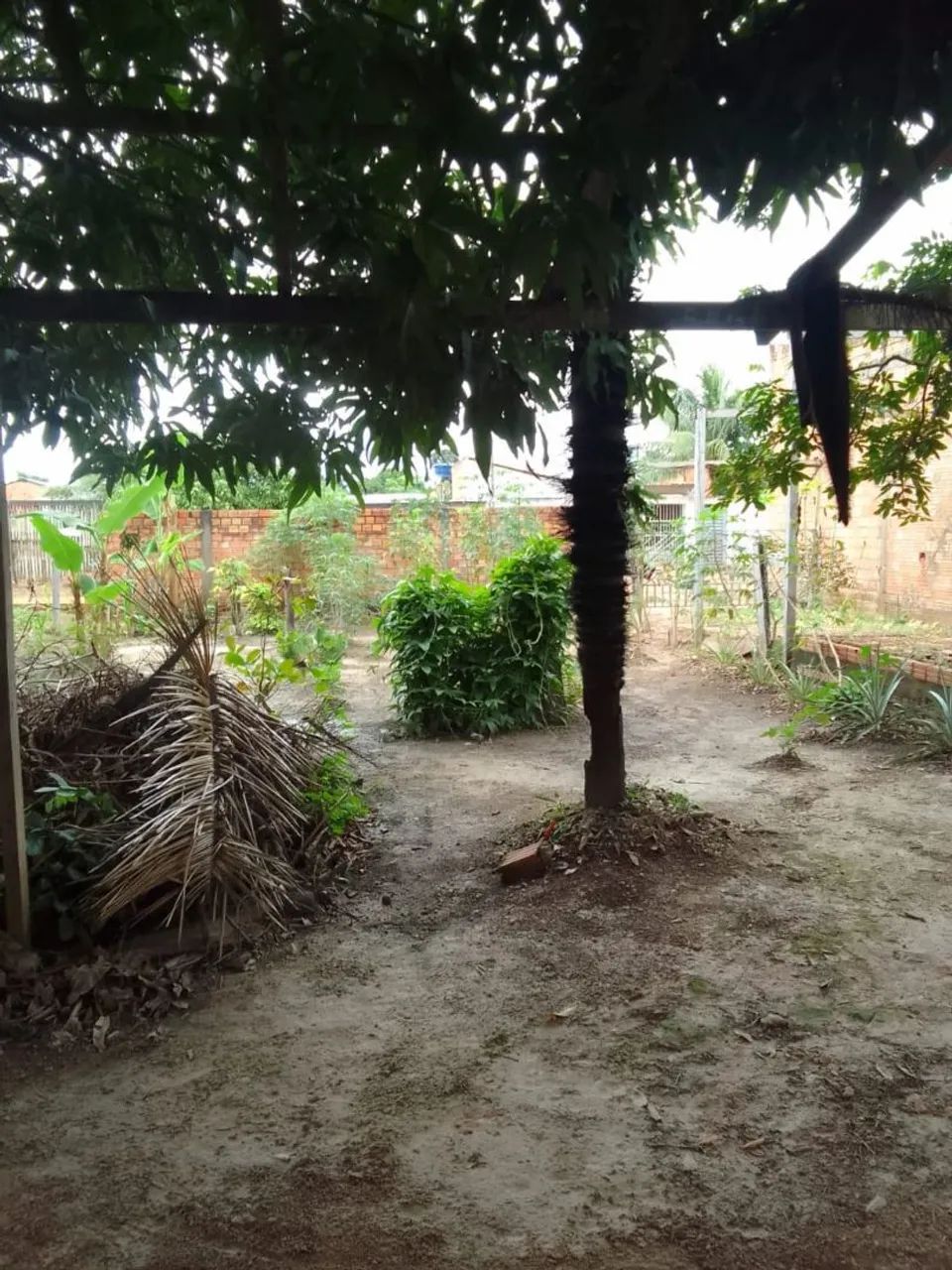 Terreno  - Foto 4