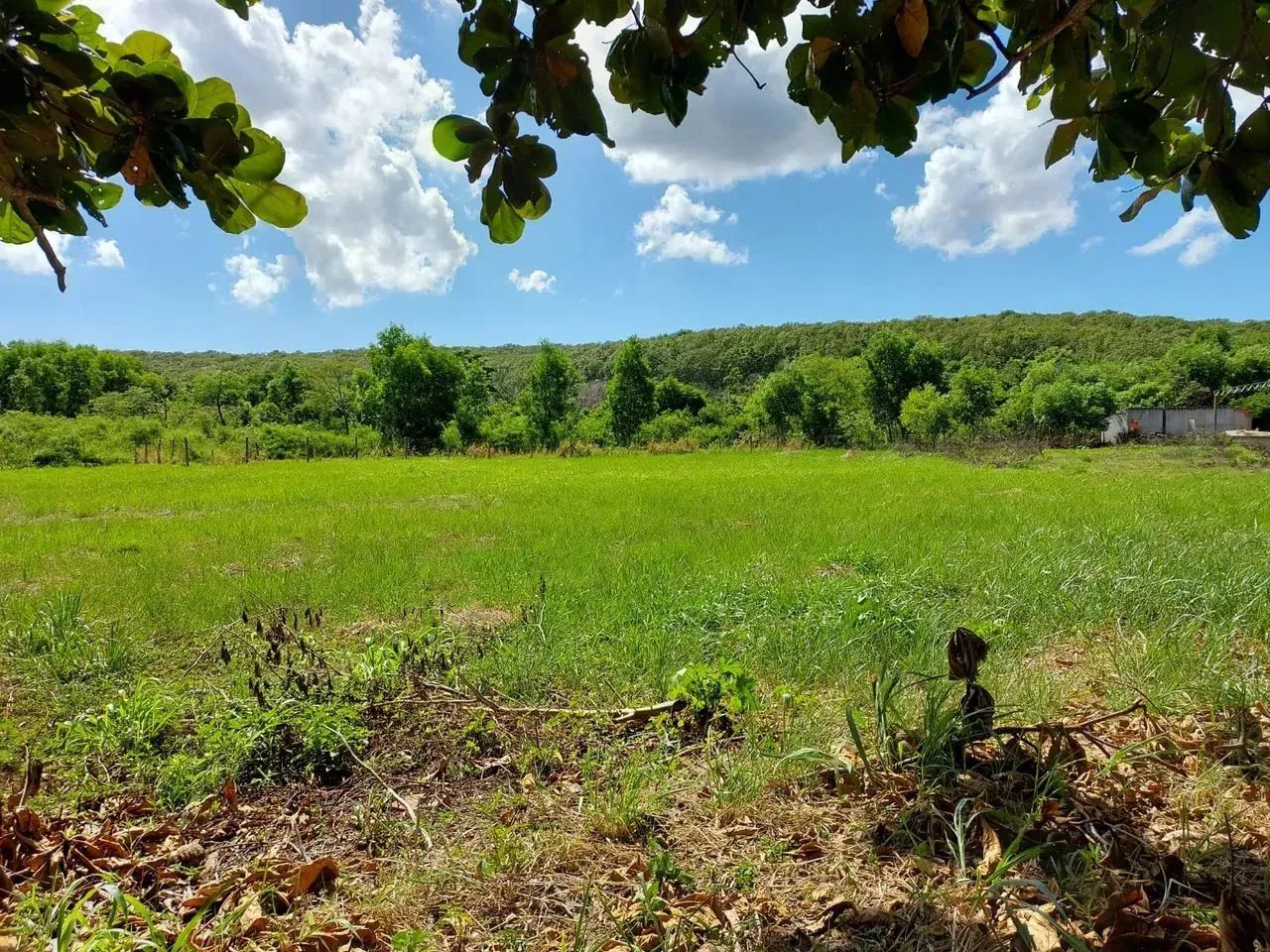 Vendo galpão em Guarapari - Foto 5