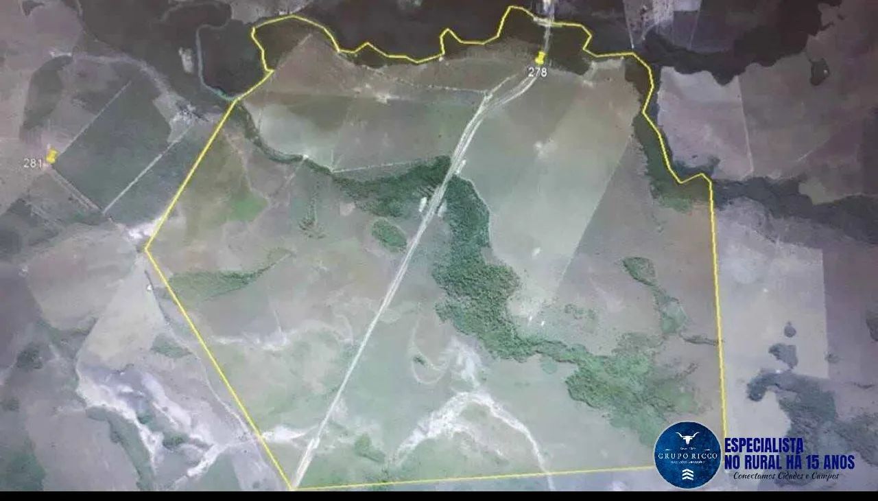 Fazenda Dupla Aptidão à Venda  1.668 Hectares em Tocantins - Foto 4