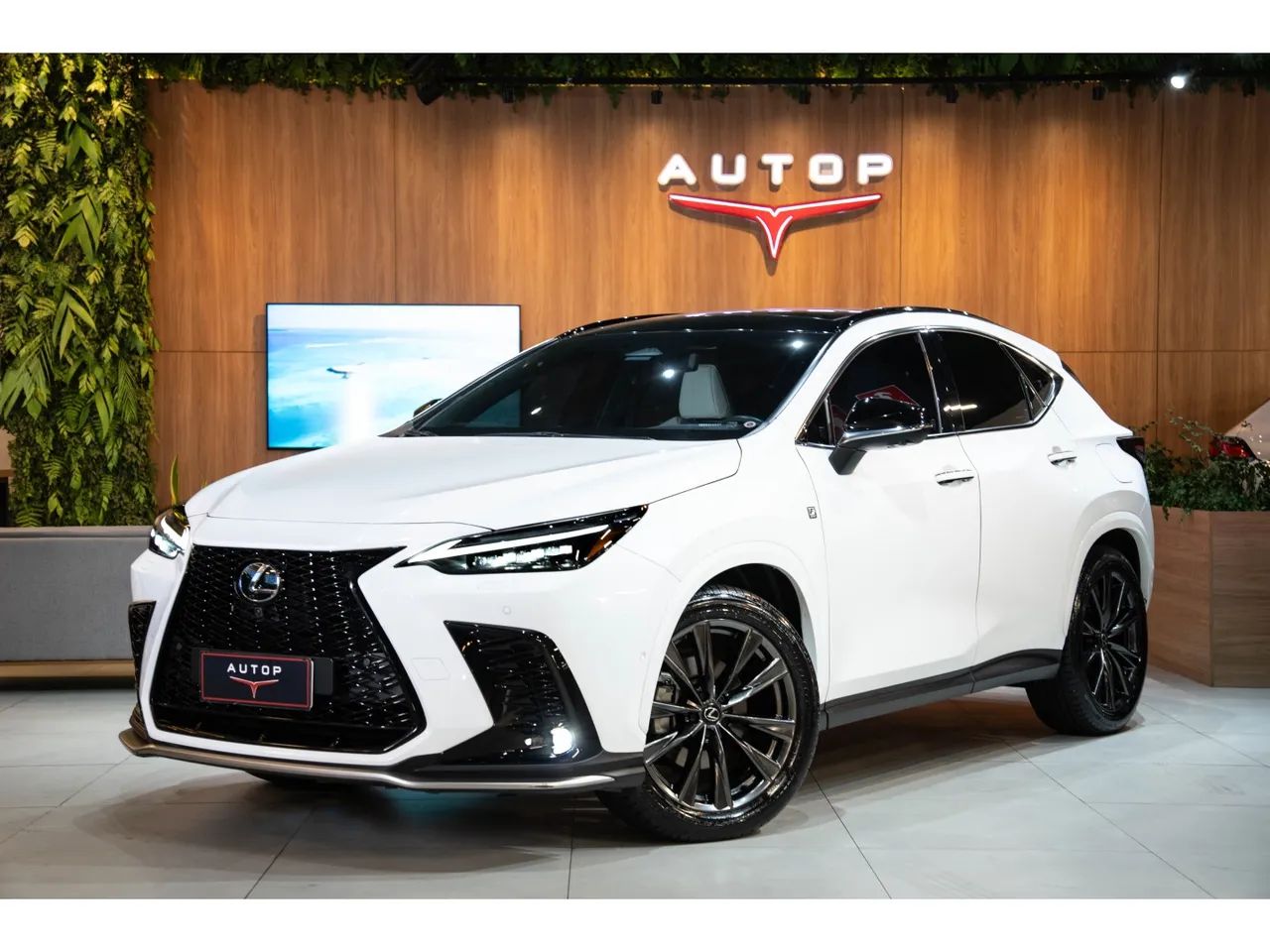 Lexus NX-350h F-sport 2.5 16V Aut. (hybrid), foto 2 de 20